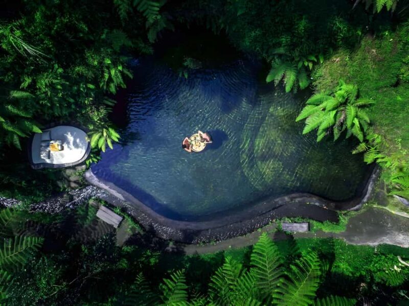 Bali: Tradisional Village, Bamboo Forest & Temple Tour - FAQs