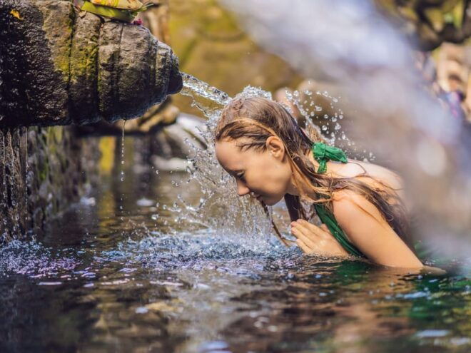 Bali: Traditional Balinese Purification With Photographer - Itinerary Highlights