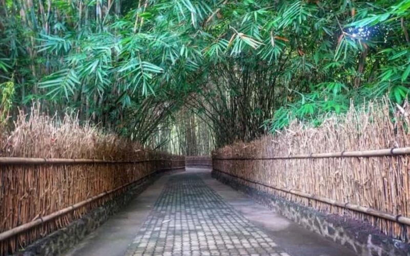 Bali: Traditional Batik & Life in Penglipuran Village - An Authentic Journey into Bali’s Heartland