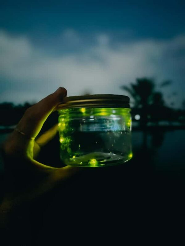 Bali Traditional Village Cooking & Magical Fireflies Tour - Good To Know