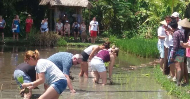 Bali: Traditional Village Life Tour - Inclusions
