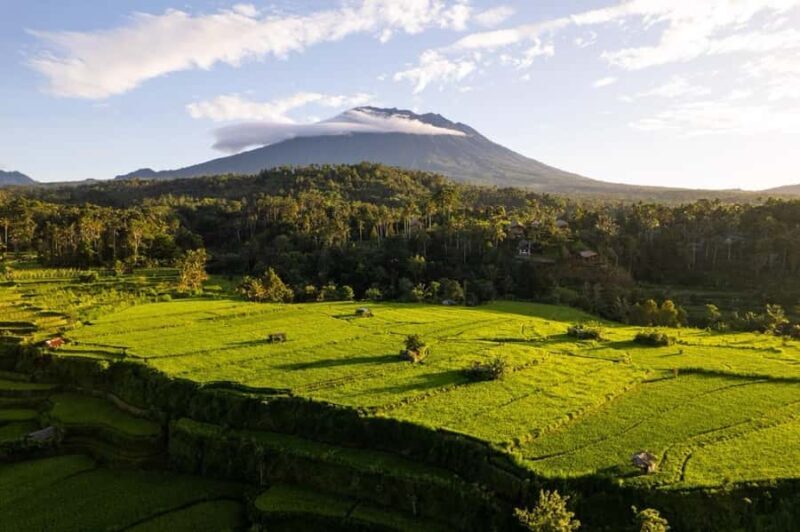Bali: Traditional Villages, Salt Farm & Tirta Gangga Tour - Good To Know