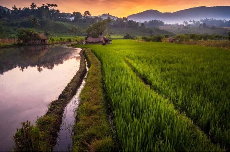 Bali: Traditional Villages, Salt Farm & Tirta Gangga Tour - FAQ