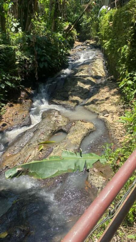 Bali Trilogy: Subak Irrigation, Waterfall & Ancient temple - The Value of This Tour