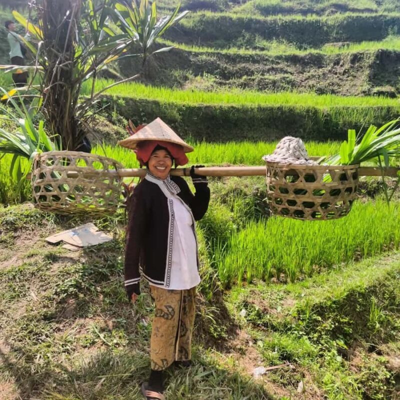 Bali Trilogy: Subak Irrigation, Waterfall & Ancient temple - FAQ