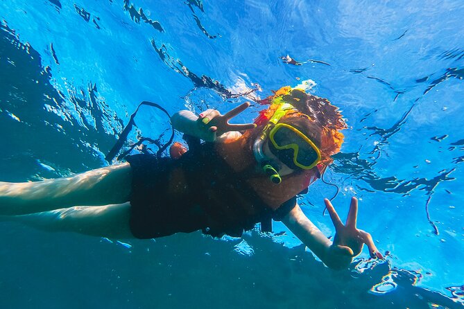 Bali Tropical Snorkeling and Mangrove Cruise - Tour Highlights