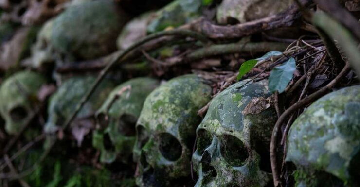 Bali: Trunyan Village, Cemetery & Hot Spring Tour - Key Points