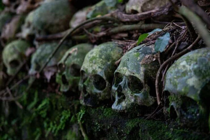 Bali: Trunyan Village, Cemetery & Hot Spring Tour - Itinerary and Experience