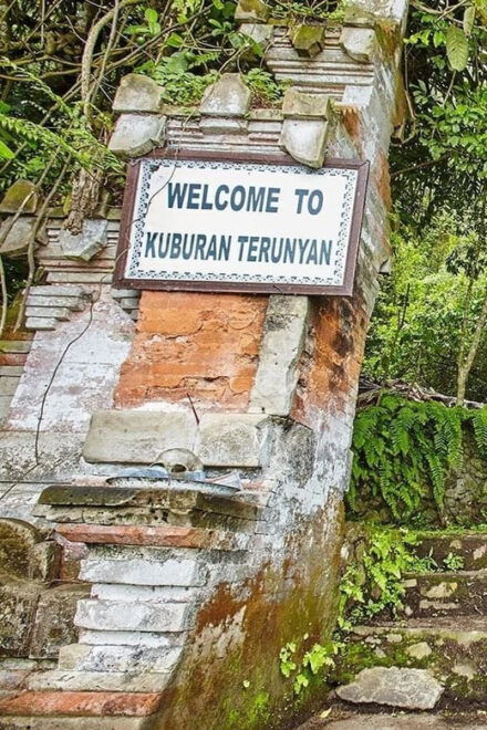 Bali: Trunyan Village, Cemetery & Hot Spring Tour - Cultural Insights