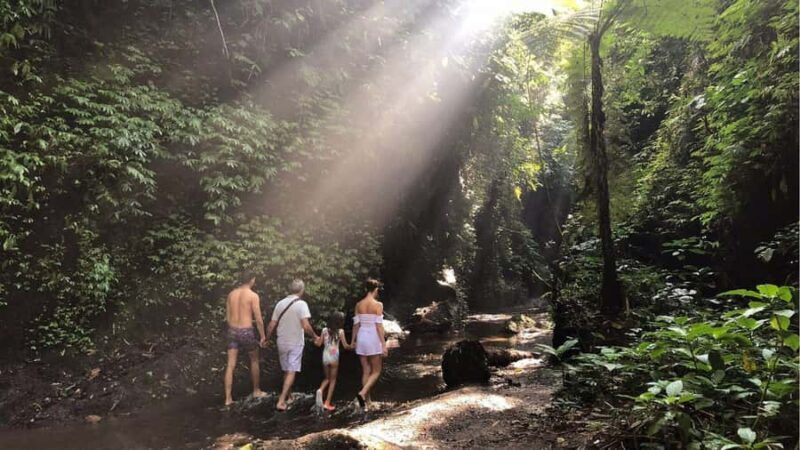 Bali: Tukad Cepung Waterfall, Besakih Temple & Tirta Gangga - Who Will Love This Tour?
