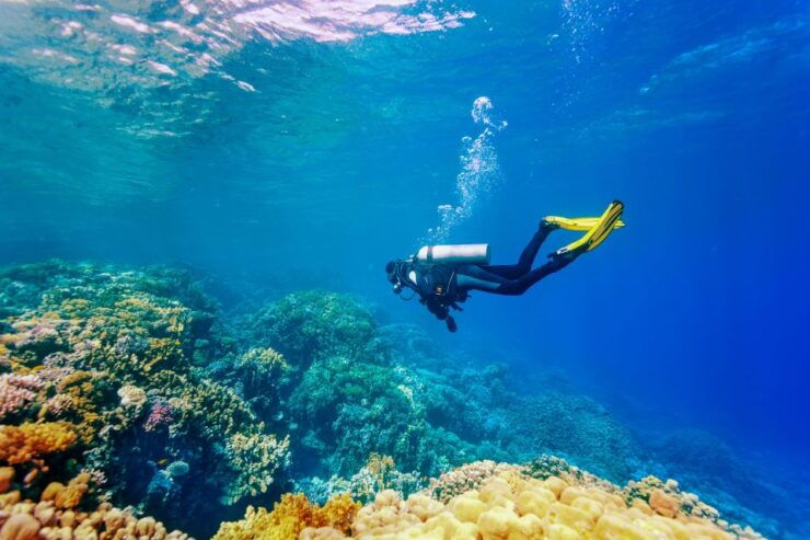 Bali: Tulamben Bay Beginners Dive Experience - Dive Equipment and Training