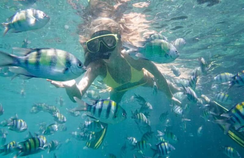 Bali Tulamben: Liberty Shipwreck Snorkeling & Kayak Day Trip - An In-Depth Look at the Bali Tulamben Experience