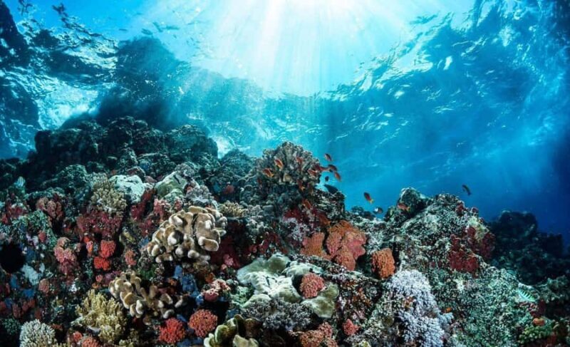 Bali Tulamben: Liberty Shipwreck Snorkeling & Kayak Day Trip - What We Appreciate