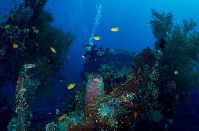 Bali: Tulamben Scuba Diving at USS Liberty Shipwreck - An In-Depth Look at the Tulamben Experience