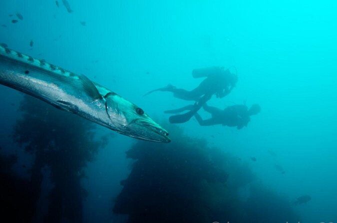 Bali: Tulamben Scuba Diving at USS Liberty Shipwreck - Final Thoughts