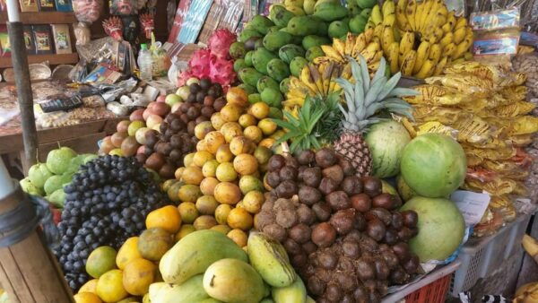 Bali: Turtle Conservation and Education Tour & Local Market - Conservation Challenges