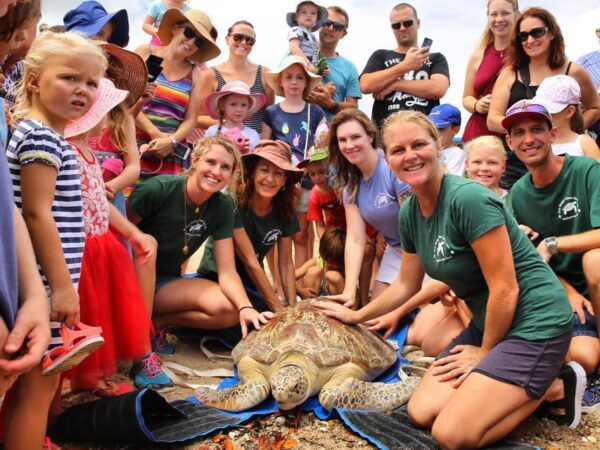 Bali: Turtle Conservation and Education Tour & Local Market - Booking Information