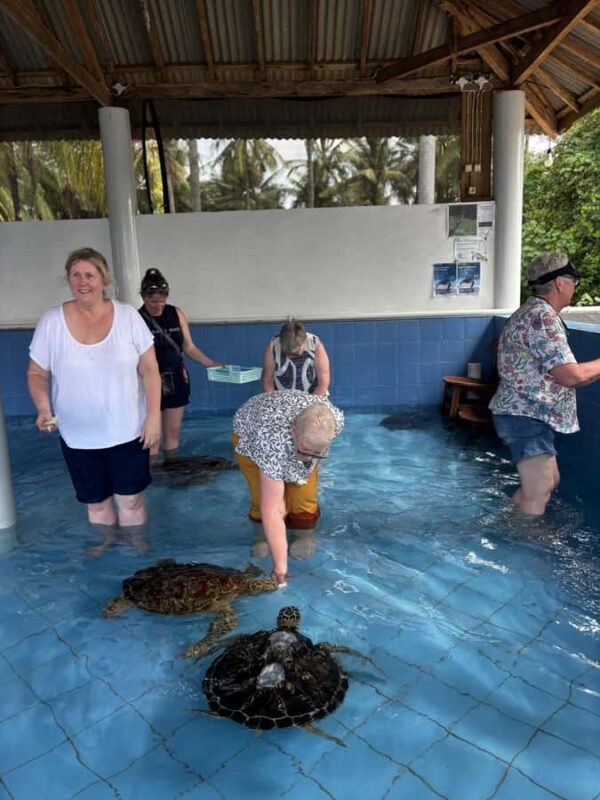 Bali: Turtle Conservation Visit & Island Land Tour - Final Thoughts