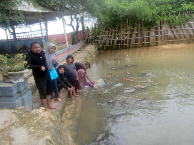 Bali: Turtle Island Glass-Bottom Boat Tour - Experience Highlights