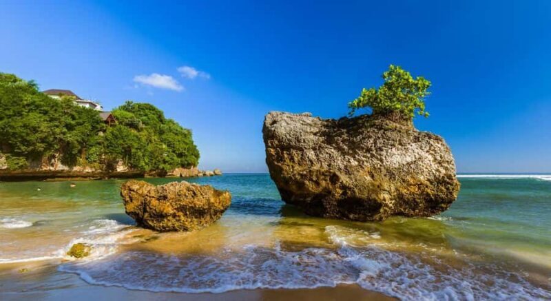 Bali: Turtle Island, Melasti Beach, Uluwatu & Jimbaran Tour - Who Will Love This Tour?