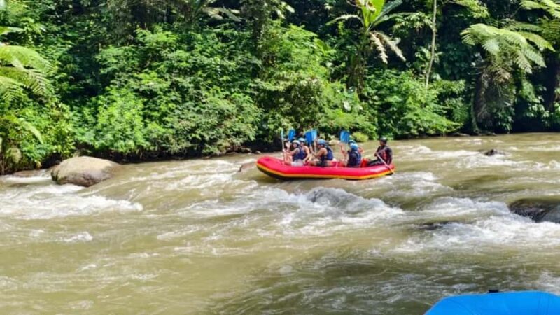 Bali Ubud Adventure: ATV Ride, Rafting & Alas Swing Day Tour - Good To Know