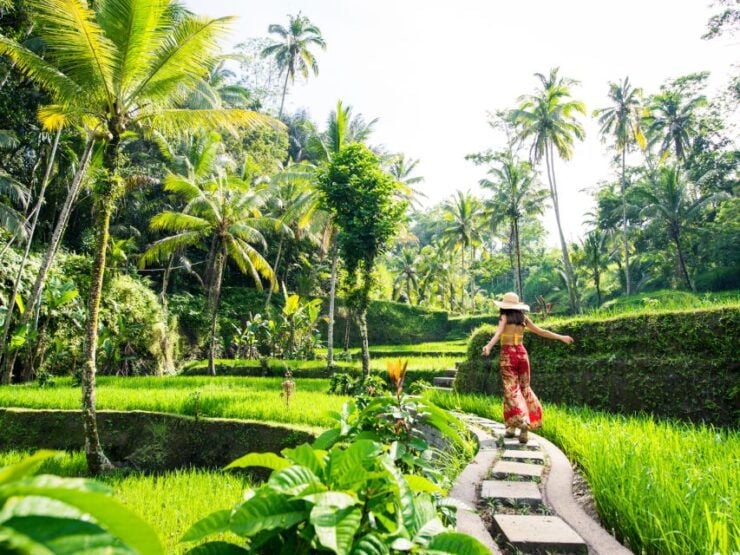 Bali: Ubud Adventure: Rice Terraces, Monkey Forest & Falls - Good To Know