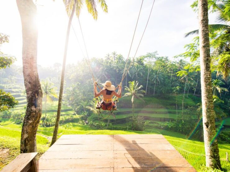 Bali: Ubud Adventure: Rice Terraces, Monkey Forest & Falls - Key Highlights