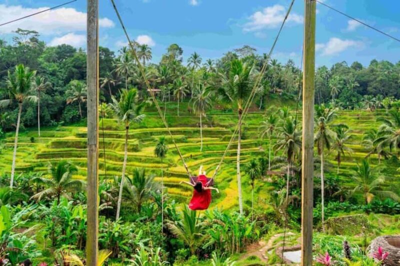 Bali: Ubud Amazing Volcano Tour with Tirta Empul Temple - Exploring Bali’s Natural Wonders and Cultural Gems