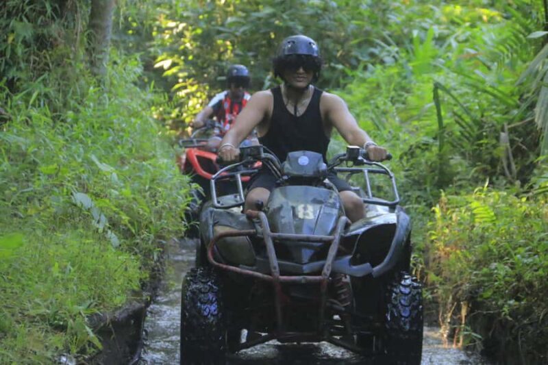 Bali: Ubud ATV Adventure with Rice Terraces and Jungle - What to Expect on Your Ubud ATV Adventure