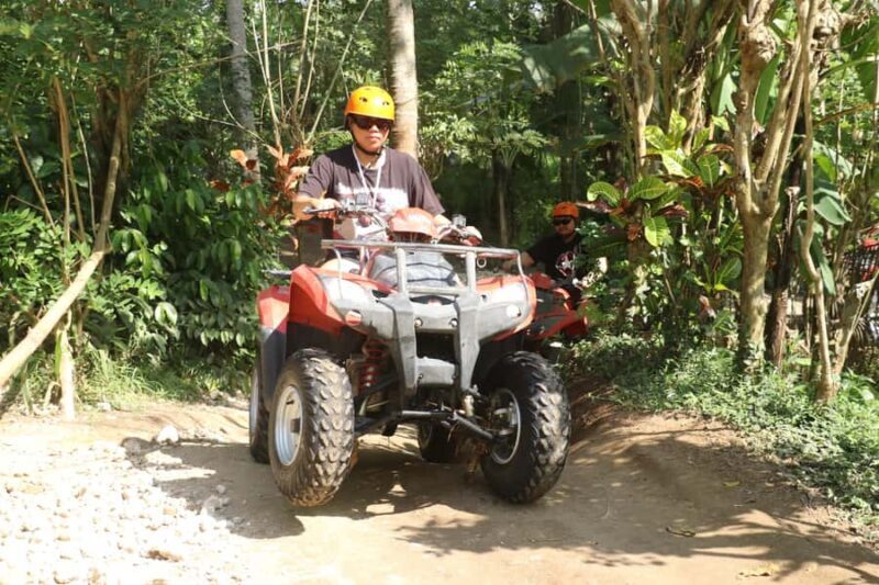 Bali: Ubud Atv Quad Bike With Lunch - Who Will Love It?