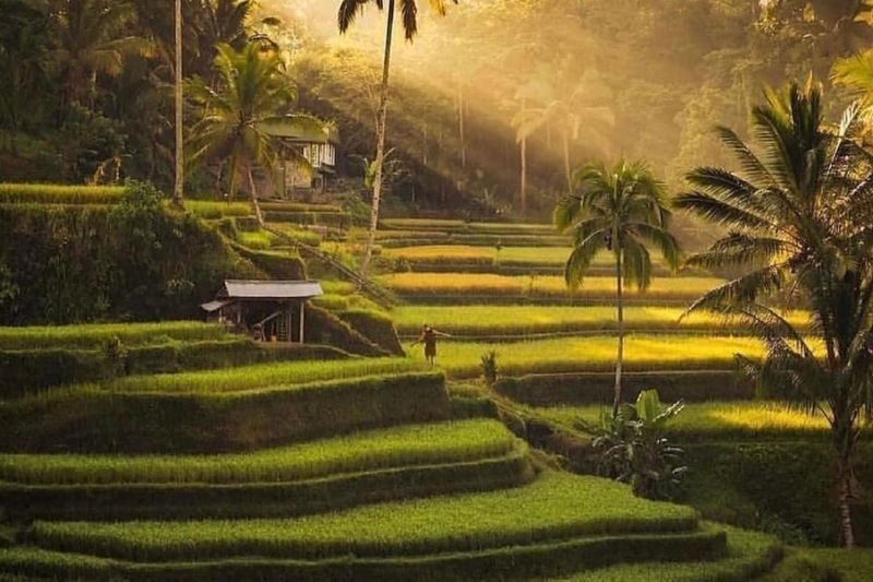 Bali Ubud ATV Ride With Optional Tour And Activities - Timing, clothing and small practical details