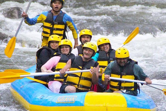 Bali Ubud Ayung River Rafting With Lunch - Activity Highlights