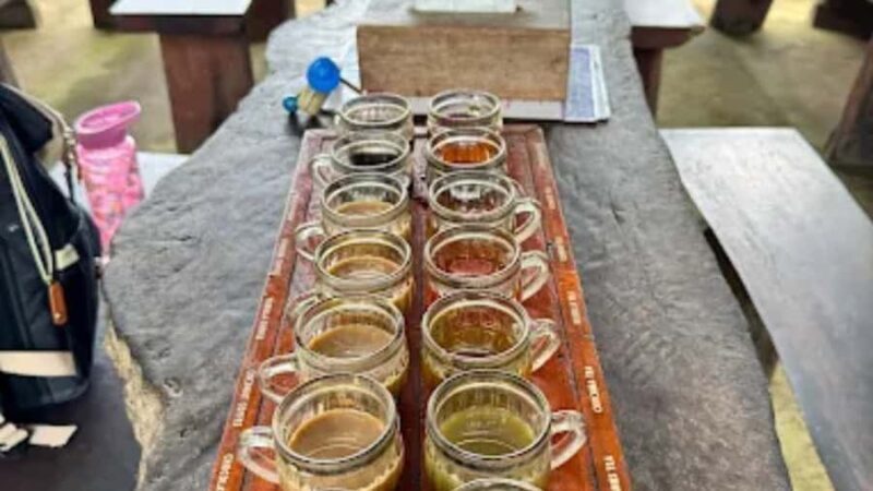 Bali: Ubud Culture and Adventure Tour with Waterfall - Good To Know