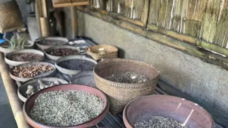 Bali: Ubud Culture and Adventure Tour with Waterfall - Summing It Up