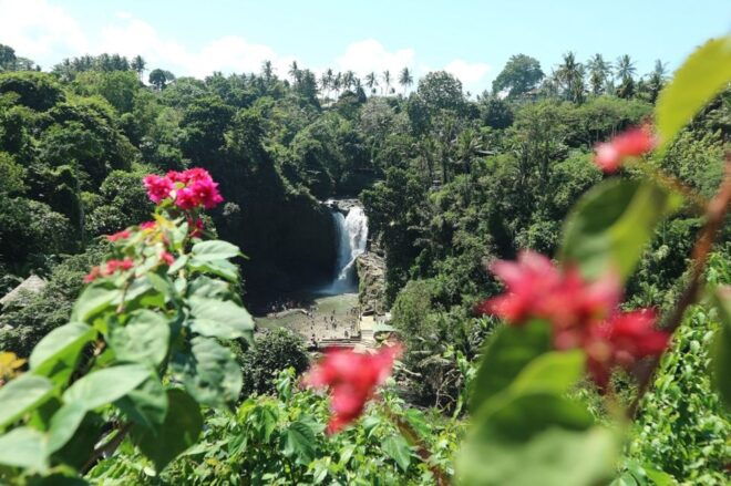 Bali : Ubud Customizable Private Car Tour With Driver - Comfortable Transportation and Customizable Itinerary
