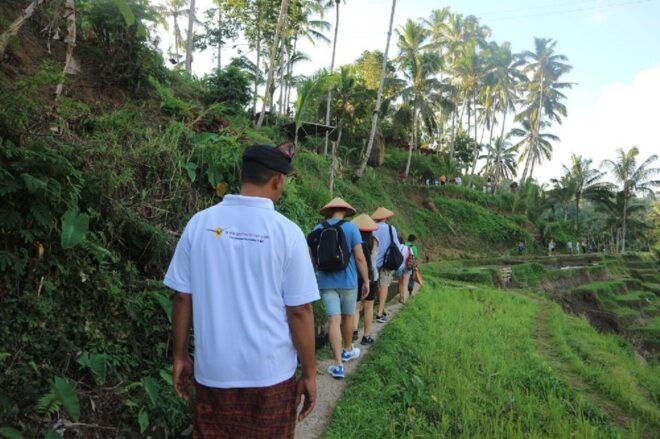 Bali : Ubud Customizable Private Car Tour With Driver - Positive Reviews and High Satisfaction With the Drivers Service
