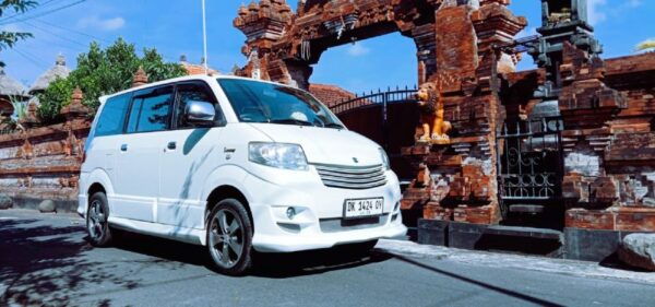 Bali : Ubud Customizable Private Car Tour With Driver - Common Questions