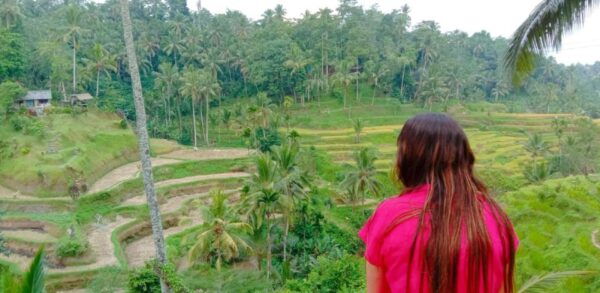 Bali : Ubud Customizable Private Car Tour With Driver - The Sum Up
