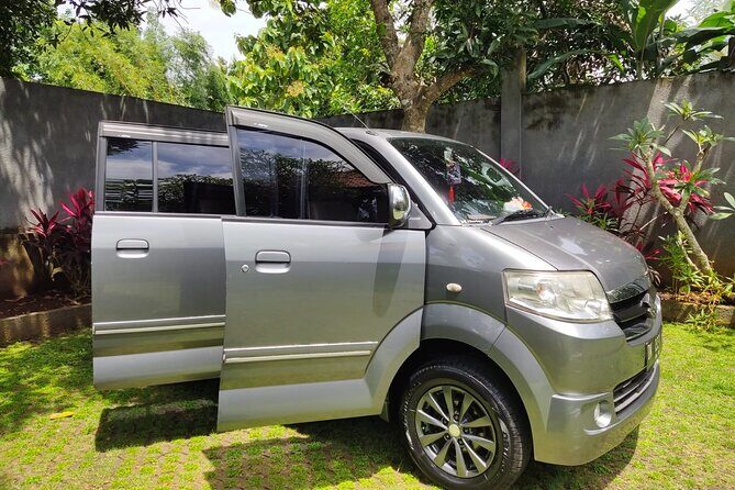 Bali Ubud Excursion from Benoa Port  All Inclusive Private Tour - Detailed Review of the Bali Ubud Excursion