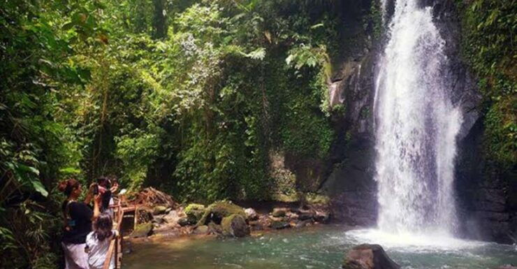 Bali: Ubud Full Day Charter - Good To Know