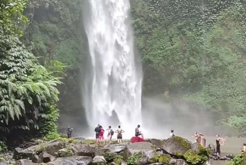 Bali: Ubud Full-Day Cultural and Nature Tour - The Itinerary: What to Expect on Your Ubud Adventure