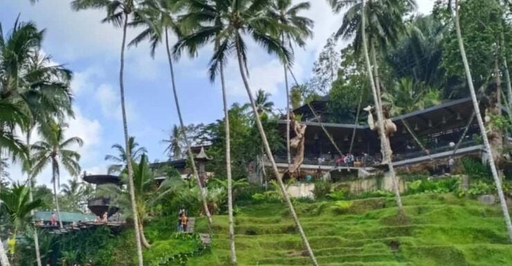 Bali Ubud : Full Day Tour - Highlights of the Tour