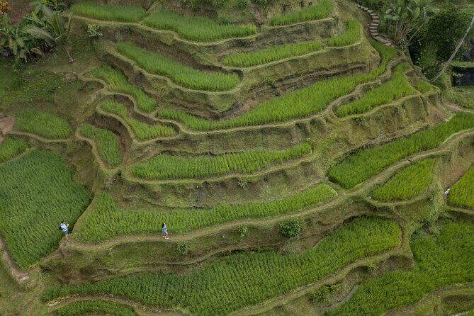 Bali Ubud : Full or Half Day Private Adventure Tour - A Deep Dive into the Itinerary