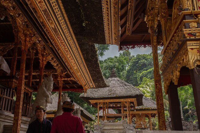 Bali Ubud : Full or Half Day Private Adventure Tour - Transportation and Overall Comfort