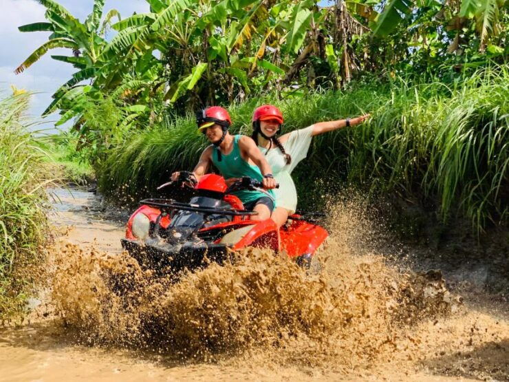 Bali: Ubud Gorilla Face Atv Quad Bike With Lunch - Activity Highlights