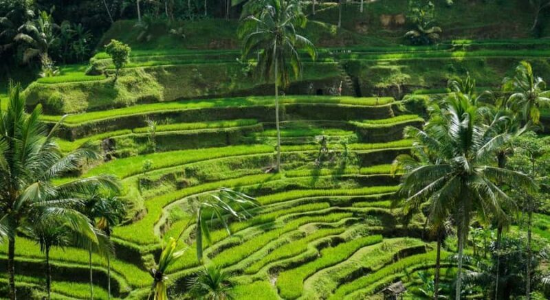 Bali: Ubud Highlight Tour With Flexible Itinerary Options - Good To Know
