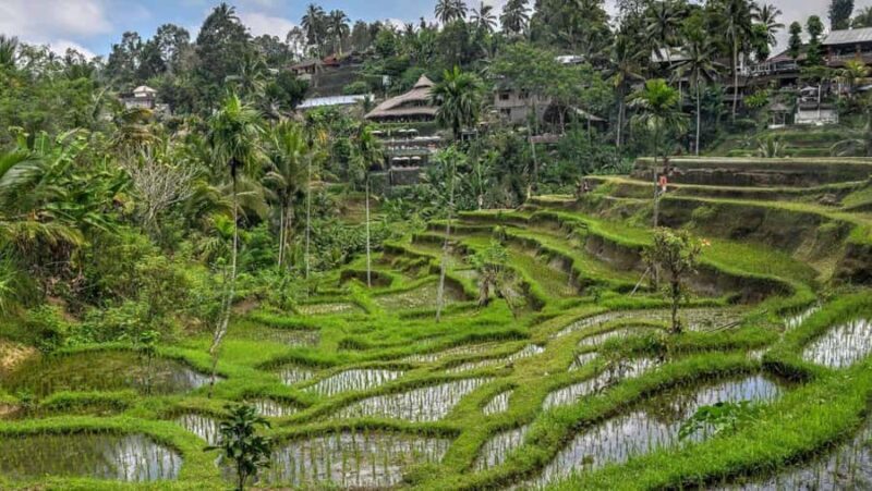 Bali: Ubud Highlight Tour With Flexible Itinerary Options - FAQ