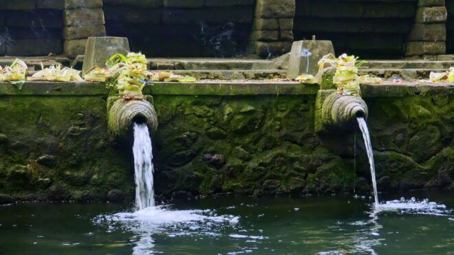 Bali: Ubud Highlights Private Tour With Transfers - Full Description of the Tour