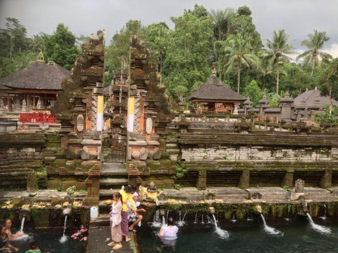 Bali: Ubud Highlights Private Tour With Transfers - Customer Reviews and Recommendations