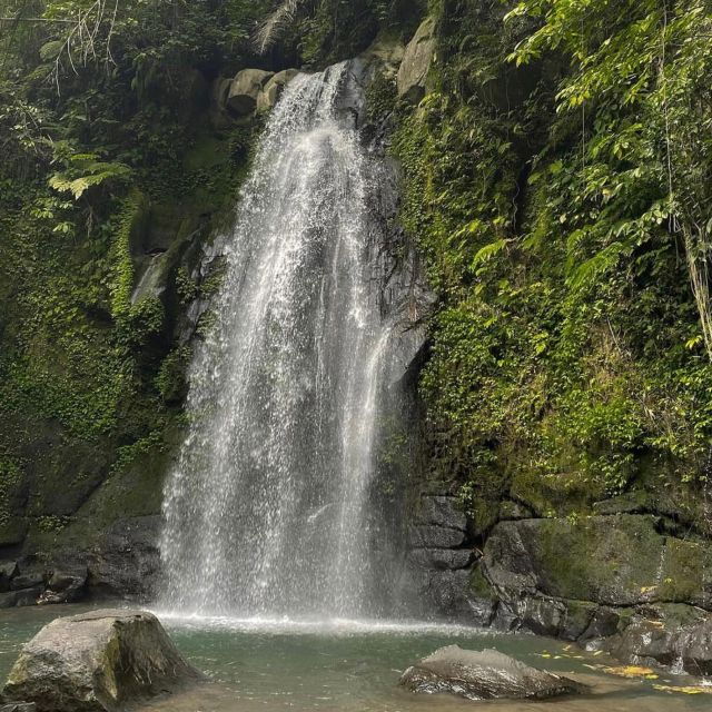 Bali: Ubud Highlights Tour With Private Guide and Transfers - Highlights